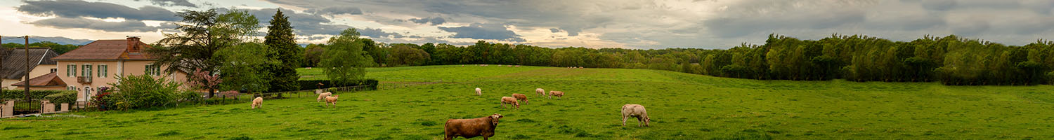 Farm & Equine