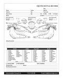 Equine Dental Records Charts
