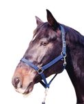 Classic Nylon Head Collars