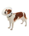 Buster Classic Collars