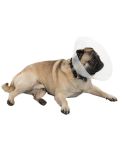 Buster Brachycephalic E-Collars