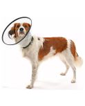 Buster Comfort Collars