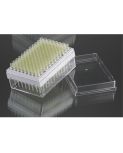 Pipette Tips in Rack Plate