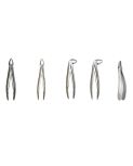 HDE Forceps