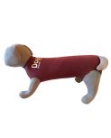 DogEase Pet Medical Suits