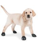 Pawz Dog Boots